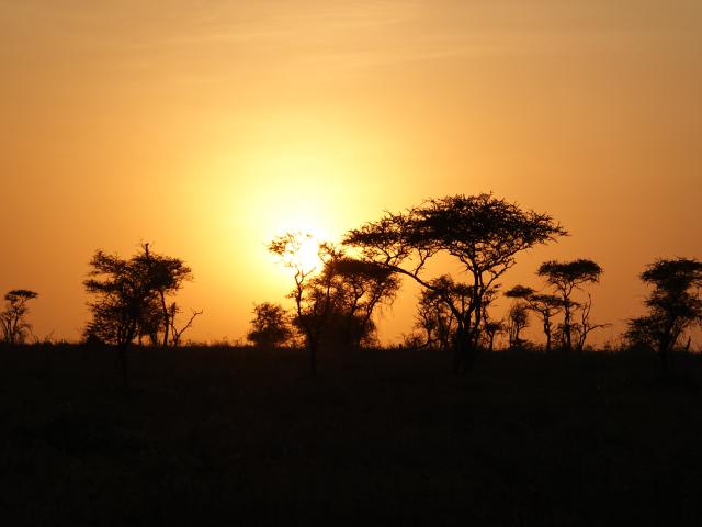 Kananga - 1