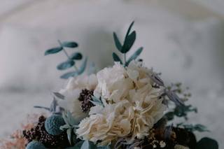 Jardinería Las Jaras - 16