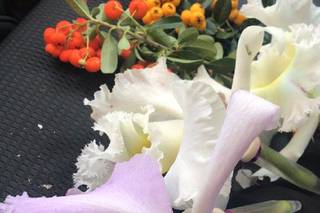 Your Flower Shop - 10