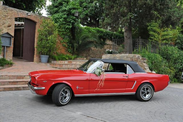 Ketty & Lord Mustang - 1