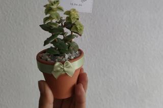 GermiGarden - 11