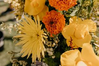 Rams N' Roses - 11