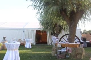 Me voy de Boda - 6