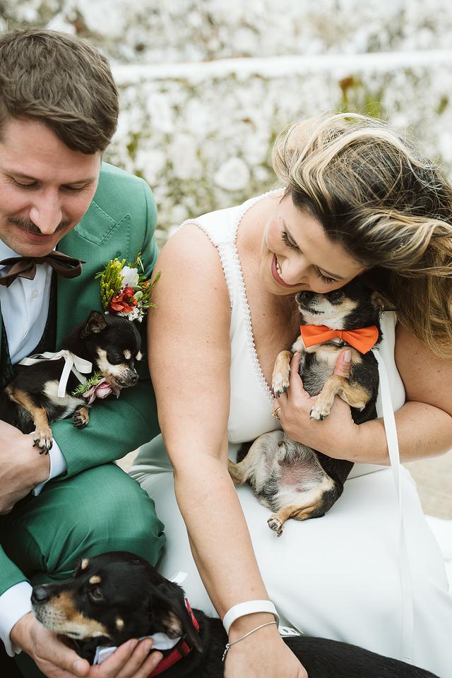 Tu perro en tu boda - 4