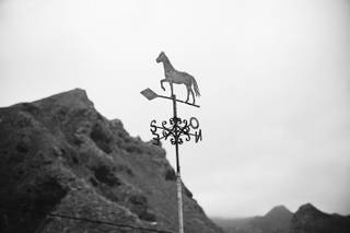 Finca Quiñones - 9