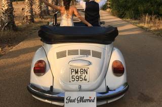 Rent Herbie - 6