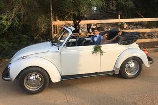 Rent Herbie - 7