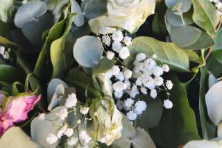 Florisima - 6