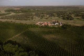 Dehesa La Cenia - 11