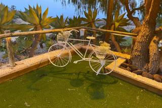 Feledi Bodas & Eventos - 30