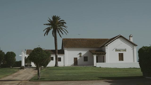 Dehesa Bolaños - 3