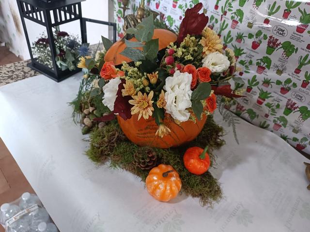 Flornaturex - 4