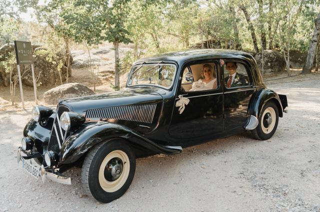 Lovely Cars - 3