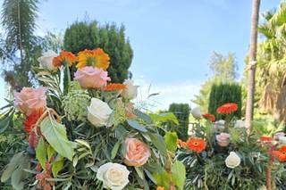 Floristería Araucaria - 19