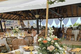 Floristería Araucaria - 21