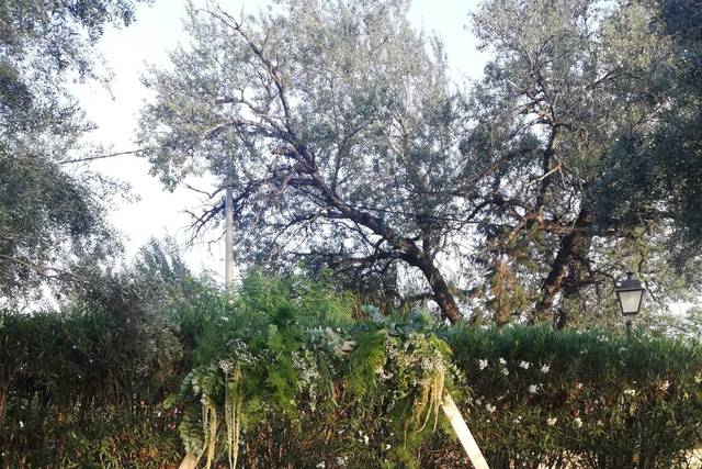 Sillas Torres 5