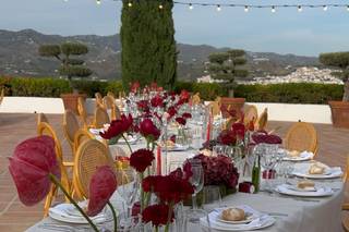 Trilby Events - 5