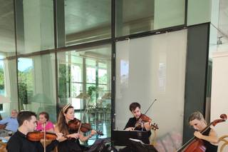 String Strad 5