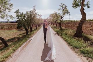 GrisPhoto - 8