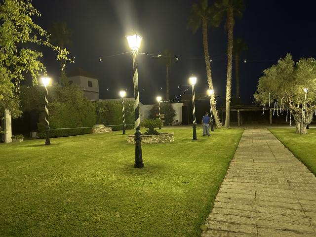 Nueva Jarilla - 1