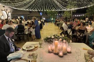Wedding Cars - 11