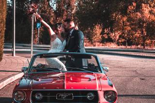 Dream Cars - 13