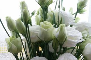Floristería Real - 7