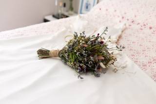 Agapanthus - 5