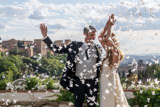 Zebra Audiovisual - 11