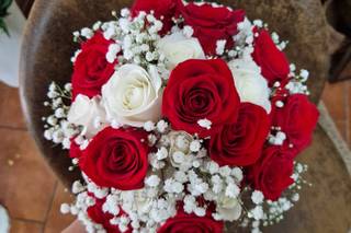 Flores Trisquel - 20