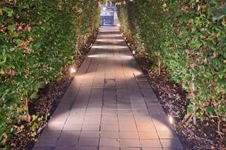 Imagina tu Boda - Wedding Planner - 7