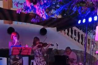 Odonata Eventos - 8