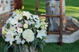 So-lo Floristas - 14