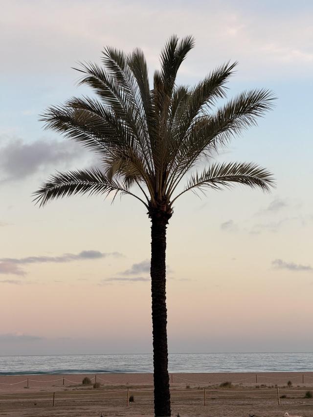 Vil·la Buenaventura - 2