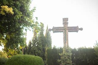 Finca La Marquesa - 7