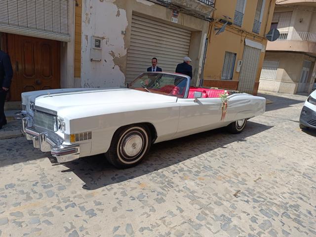 Top Classic - 1