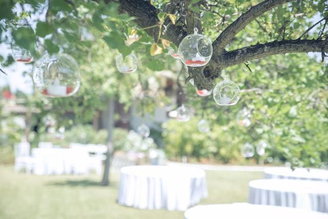 T&T Events - 1