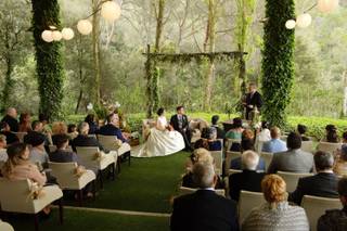 Oliveras Floristes - 17