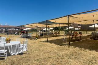 Carpas Élite - 14
