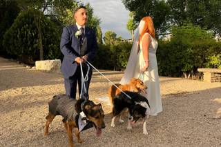 Pet Care Madrid - 5