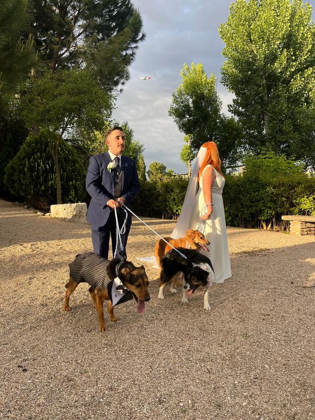 Pet Care Madrid - 2