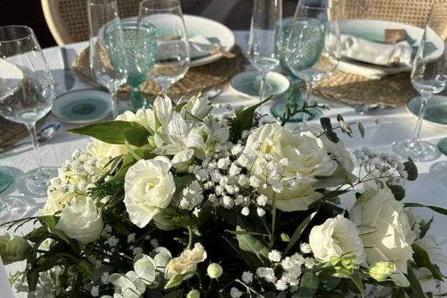 Tallo Floristas 5