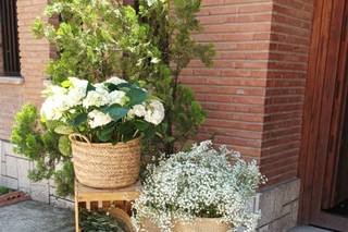 Floristería Pétalos - 12