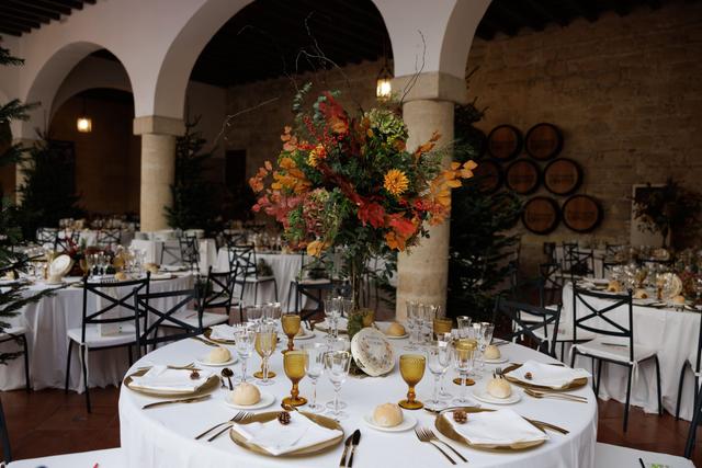 Bodegas Fundador - 1