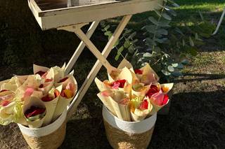 Floristeria Avi-flor - 5