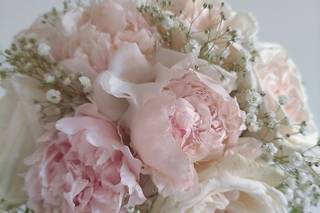 Blooming Town - 12