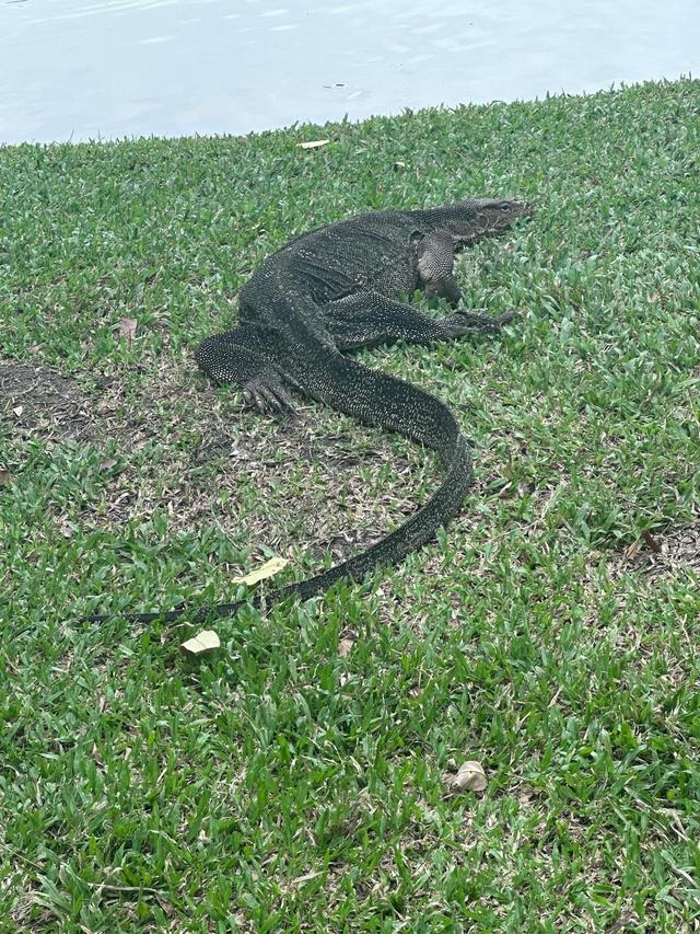 MarKeNúr Viajes - 4