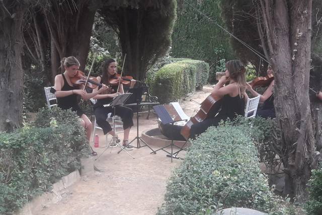 Cuarteto Amici 4