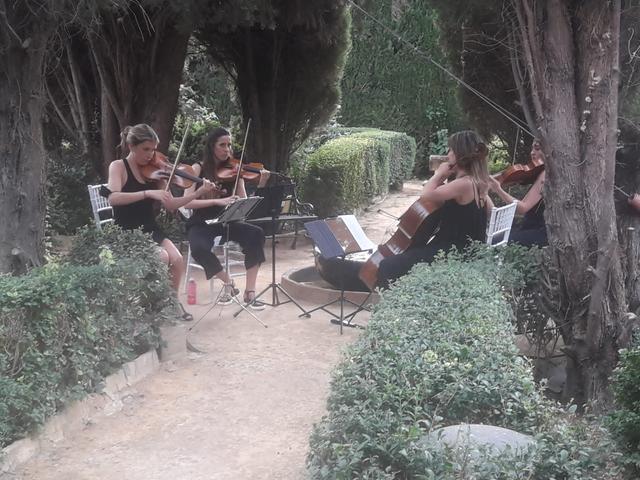 Cuarteto Amici - 3