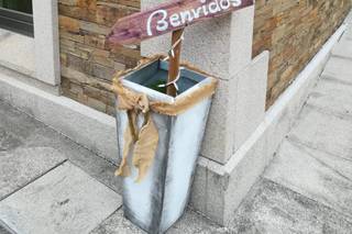 Don Bodas - 10